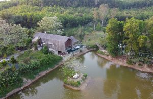 Cuộc sống tiên cảnh tại ngôi nhà bên sườn đồi ở Đà Nẵng