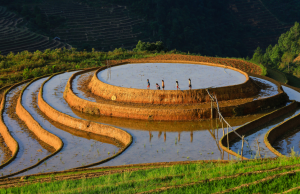 Mùa nước đổ trên đất Tú Lệ