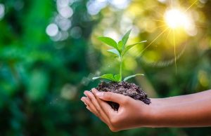 5 ý tưởng đơn giản cho lối sống xanh