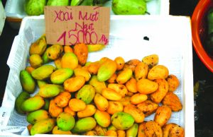 Hơn 700 tấn xoài mini Trung Quốc đổ bộ chợ TP HCM