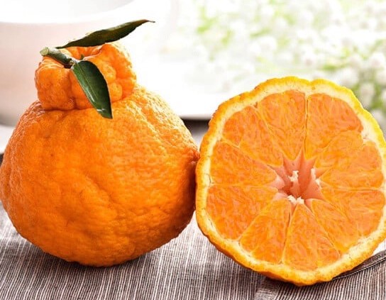 Các loại quýt đặc biệt được bán ở Việt Nam - Sống Xanh Sống Khỏe