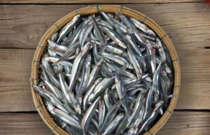 Nhiều người thích ăn cá nhỏ hơn cá lớn vì lý do này