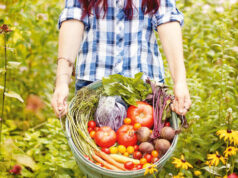 Trồng rau ở phố một phát ăn ngay