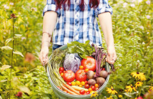 Trồng rau ở phố một phát ăn ngay