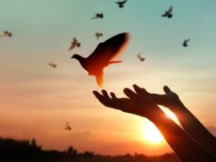 Sống đẹp khi thấy mình nhẹ nhõm, người khác ấm lòng